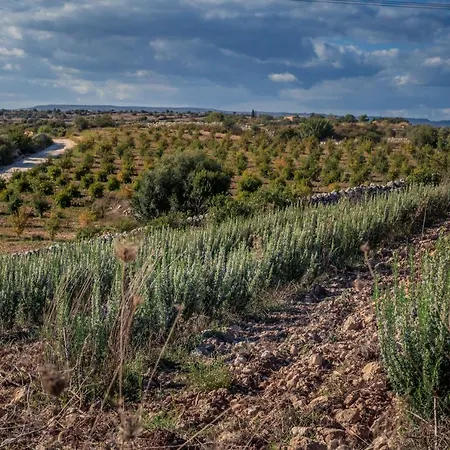 La Mela Di Venere Alloggio per agriturismo